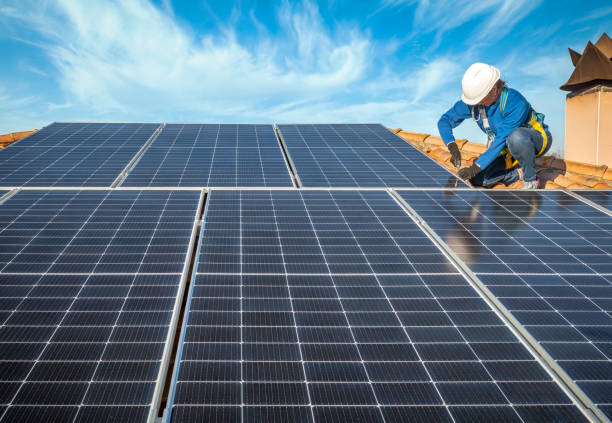 Best Roof Moss and Algae Removal  in Cisco, TX