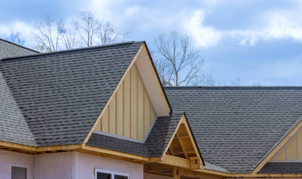 Best Solar Panel Roofing Installation  in Cisco, TX