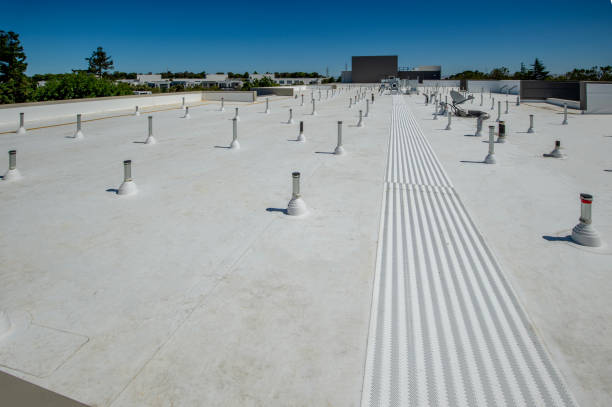 Best Roof Insulation Installation  in Cisco, TX